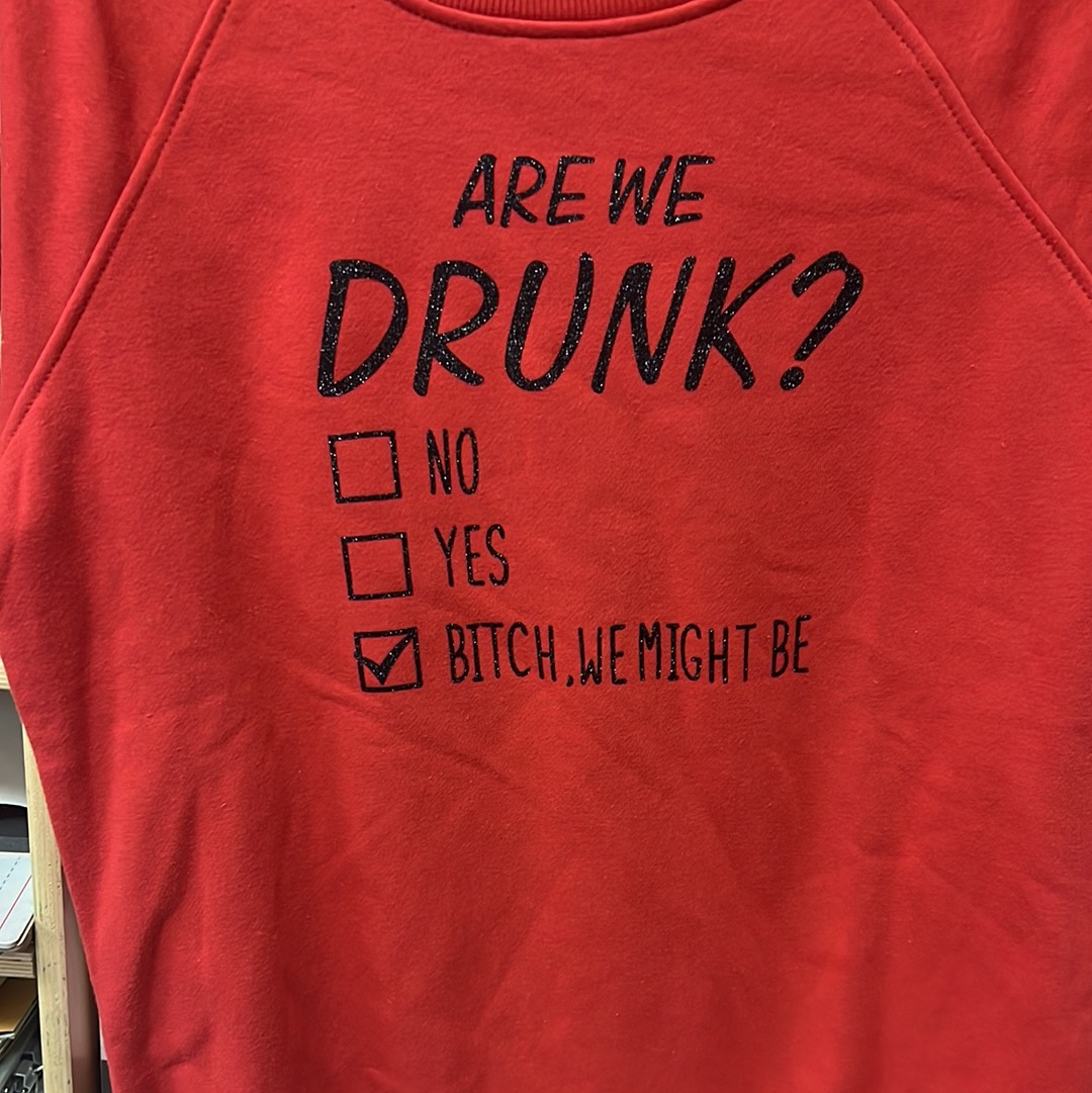 Are we drunk? sweatshirt