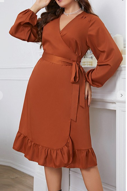 Plus Brown One Piece Cinching Dress